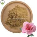 Extracto de flores de rosa orgánica natural puro